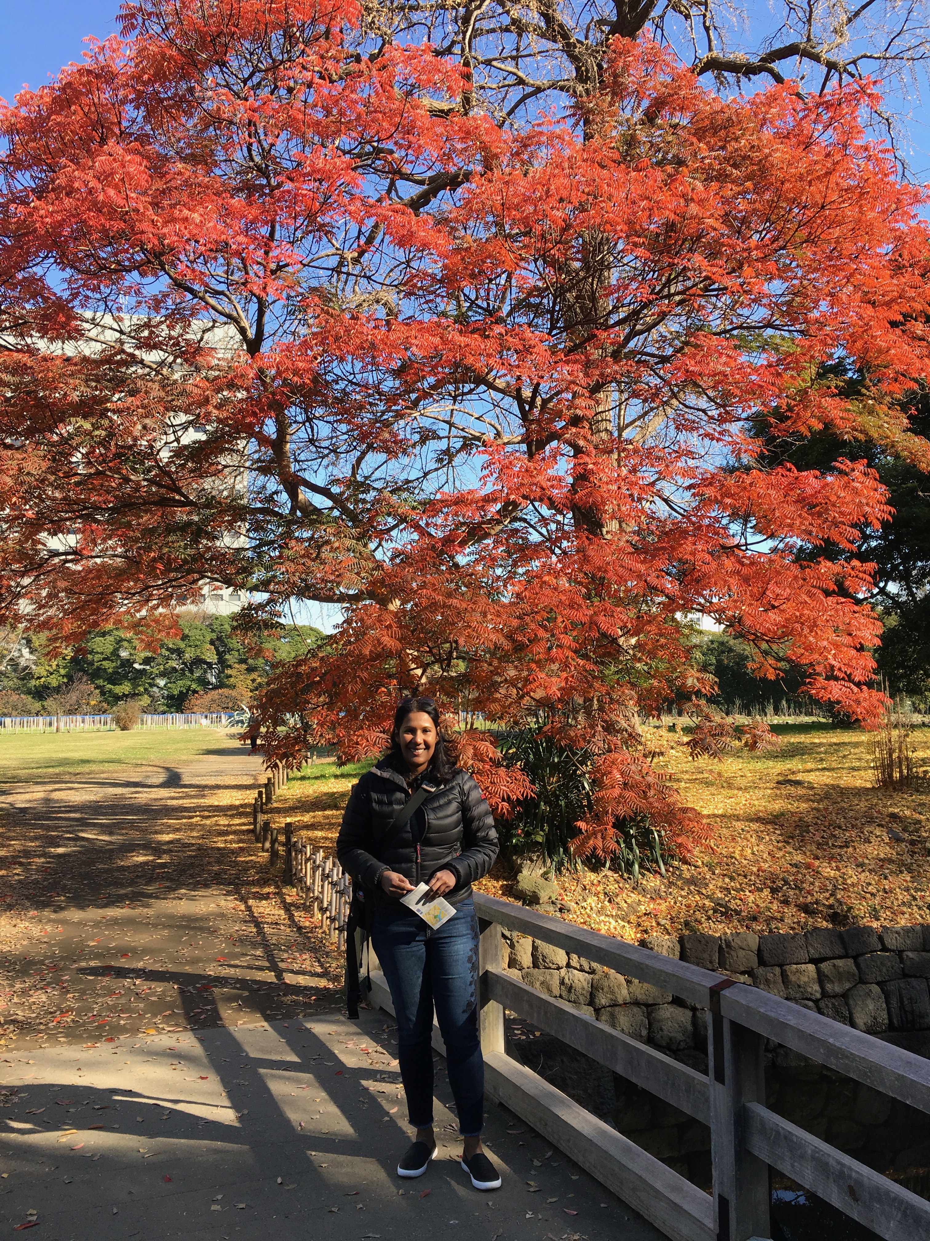 IMG_0865 2 4.51.11 PM