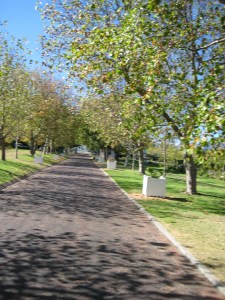 driveway-leading-up-to-the-hotel driveway-leading-up-to-the-hotel